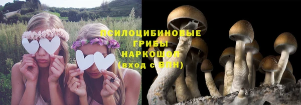 стаф Ахтубинск