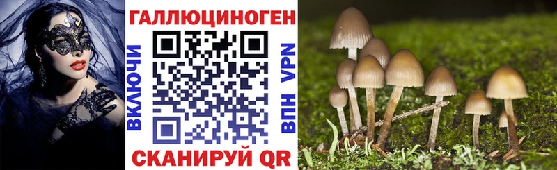 Псилоцибиновые грибы мухоморы Купить закладки Карачаевск